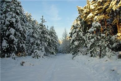 久等了，欢迎来到月上湾！《房产达人》Luxury DLC正式出炉，带来令人期待的全新内容！